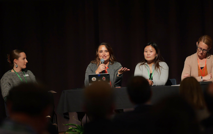 Panel discussing stormwater updates